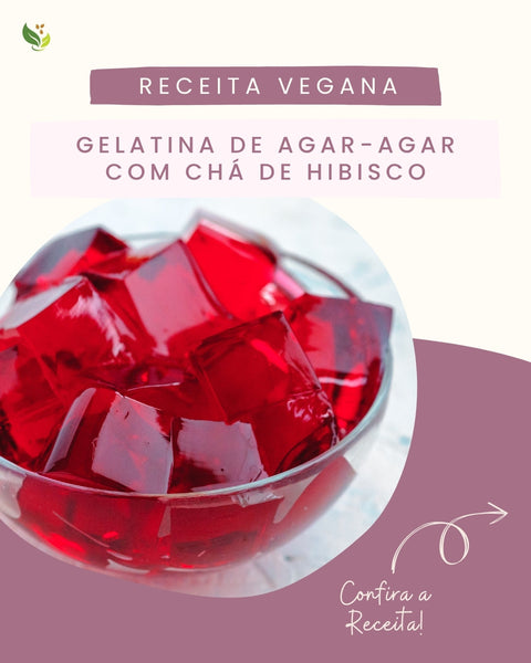 Receita Vegana: Gelatina de Agar-Agar com Chá de Hibisco 🌺