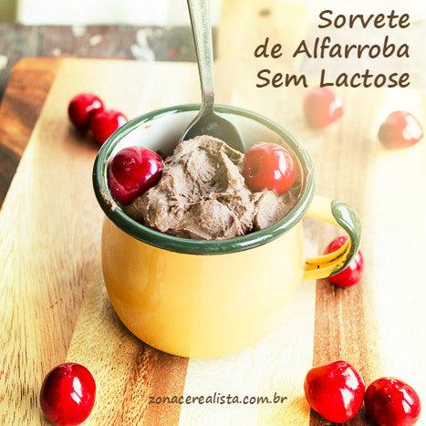 SORVETE DE ALFARROBA SEM LACTOSE - Zona Cerealista Online