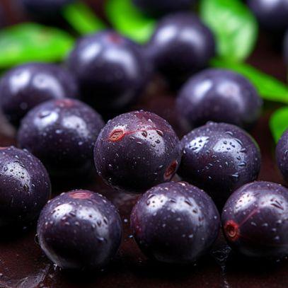 Açaí: Uma Super Fruta Brasileira Repleta de Antioxidantes - Zona Cerealista Online