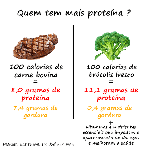 QUEM TEM MAIS PROTEÍNA? - Zona Cerealista Online