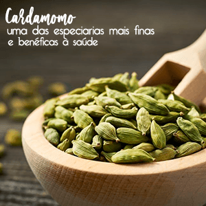 Cardamomo: uma das especiarias mais finas e benéficas à saúde! - Zona Cerealista Online