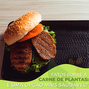 Fatos sobre a "carne" de plantas: é uma opção mais saudável? - Zona Cerealista Online