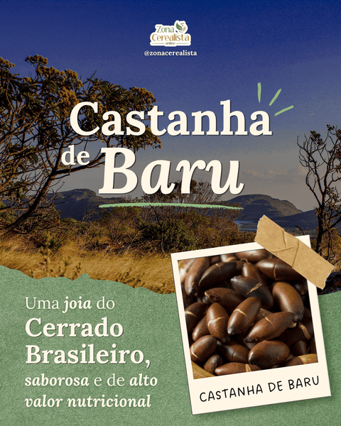Arte da Zona Cerealista Online sobre castanha de baru, com paisagem do Cerrado e foto das castanhas em moldura polaroid.