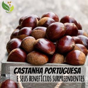 Castanha Portuguesa E Seus Benefícios Supreendentes   Zona Cerealista