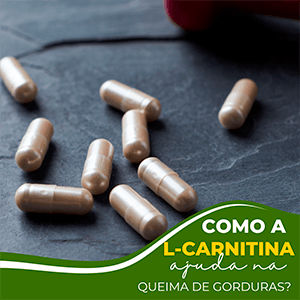 Como a L-Carnitina ajuda na queima de gorduras? - Zona Cerealista Online