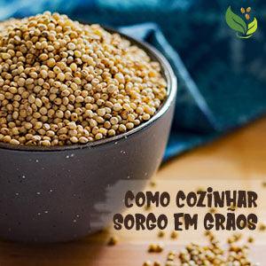 cozinhar sorgo em grãos