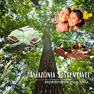 Amazônia Sustentável: experimente essa ideia - Zona Cerealista Online