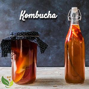 Kombucha