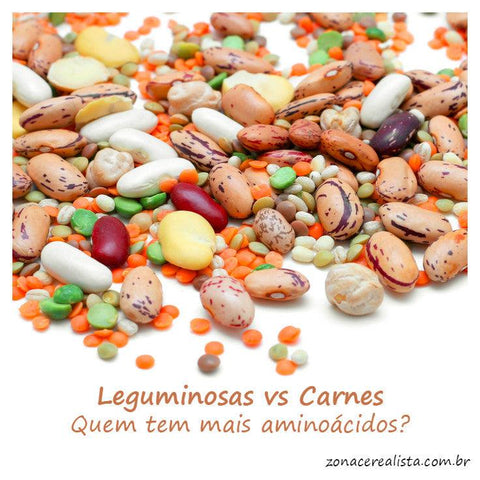 LEGUMINOSAS vs CARNES: QUEM TEM MAIS AMINOÁCIDOS? - Zona Cerealista Online