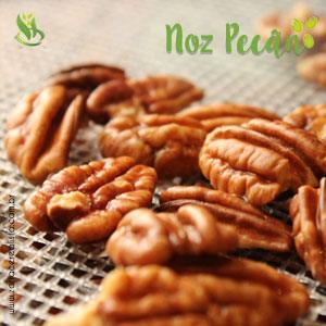 4 benefícios da Noz Pecan para saúde e alimentação - Zona Cerealista Online