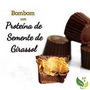 Bombom com Proteína de Semente de Girassol