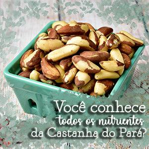 Você conhece todos os nutrientes da Castanha do Pará? - Zona Cerealista Online