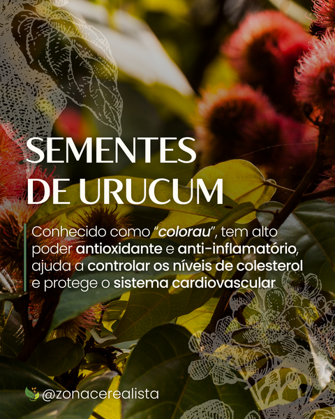 Sementes de Urucum: Uma super aliada da sua saúde! 💚