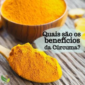 Quais são os Benefícios da Cúrcuma (açafrão-da-terra)? - Zona Cerealista Online