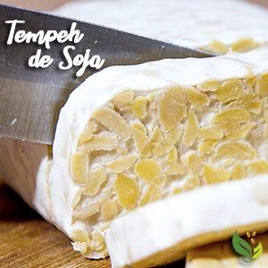 Tempeh de Soja Orgânico - Zona Cerealista Online