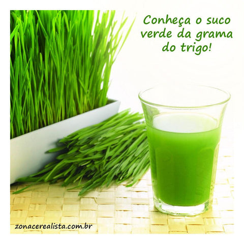 APRENDA A FAZER O SUCO DA GRAMA DO TRIGO! - Zona Cerealista Online