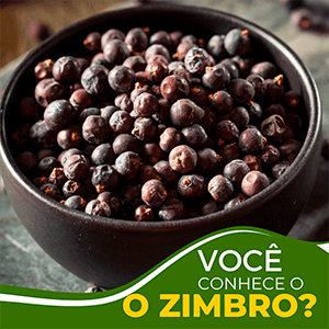 Você conhece o Zimbro? - Zona Cerealista Online