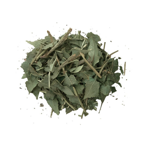 Espinheira Santa (Granel 100g) 