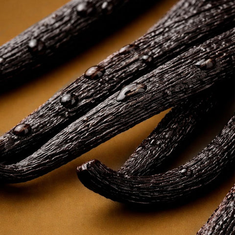 Fava de Baunilha Vanilla Brasil 4g