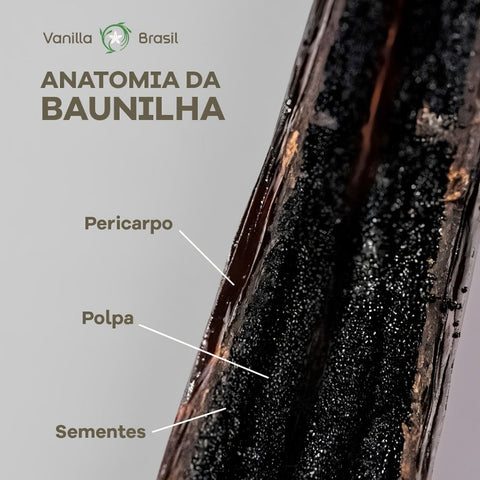 Fava de Baunilha Vanilla Brasil 4g