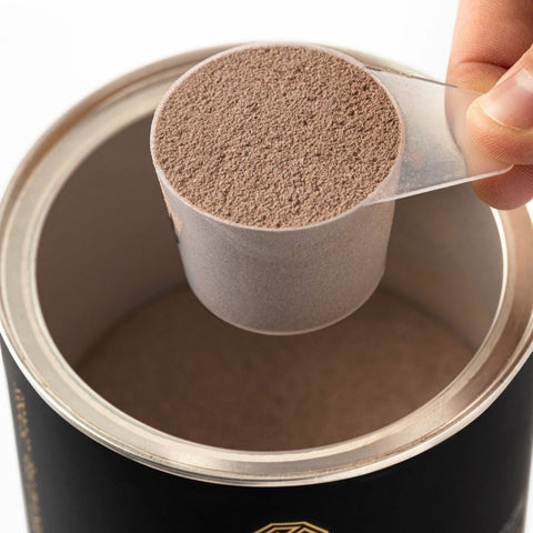 Collagen Essential Protein Chocolate Essential Nutrition 510g
