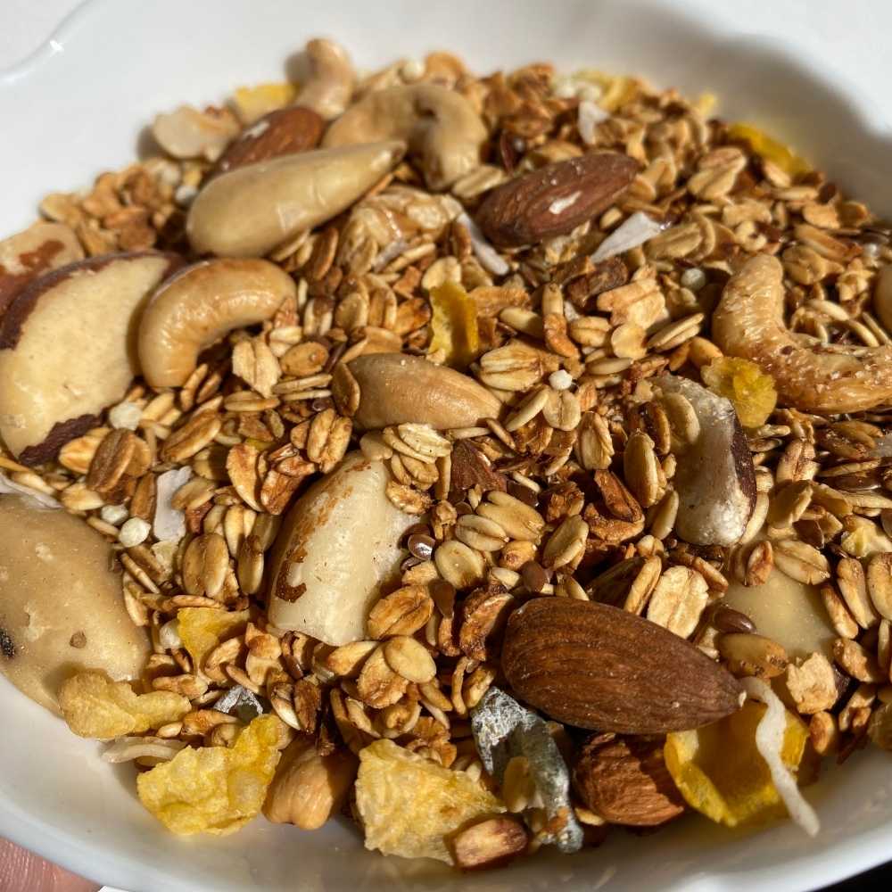 Granola Premium com Nuts Zero (Granel 400g) – Zona Cerealista Online